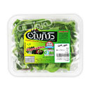 سبزی خوردن دکتر بیژن بسته ای 50 گرمی