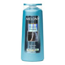 شامپو ضد شوره و درمان کننده 400 میلی لیتری ملونی