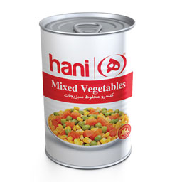 مخلوط سبزیجات 380 گرمی هانی