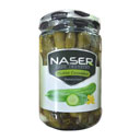 خیارشور ناصر