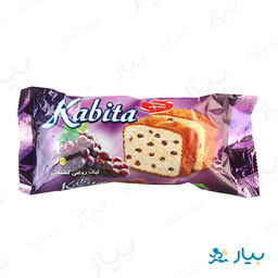 کیک روغنی کشمشی 90 گرمی شیرین برنا