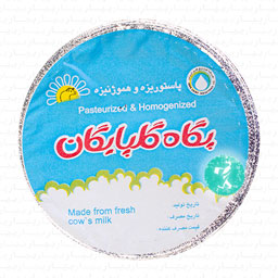 کشک 380 گرمی پگاه گلپایگان