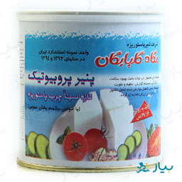 پنیر پروبیوتیک 400 گرمی پگاه گلپایگان