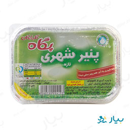 پنیر شهری 300 گرمی پگاه گلپایگان