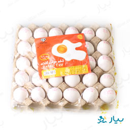 تخم مرغ روزانه 30 عددی رافتی