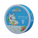 پنیر سفید مثلثی 16 عددی روزانه