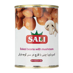 کنسرو لوبیا چیتی با قارچ 380گرم سالی
