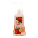 فوم دستشویی قرمز 250گرمی بوژنه