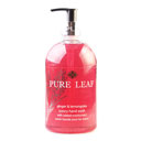 مایع دستشویی معطر بنفش500گرمی پیورلیف