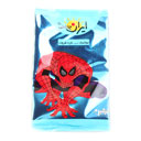 لواشک سیب قره قوروت 22 گرمی ترشین