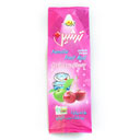 لواشک فامیلیا 80گرمی آلبالو ترشین