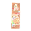 لواشک سیب قره قوروت 80 گرمی ترشین