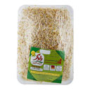 جوانه شبدر 250 گرمی راوک