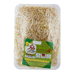 جوانه شبدر 250 گرمی راوک