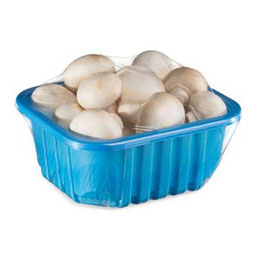 قارچ 200 گرمی نیوشا