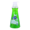 مایع ظرفشویی 750 میلی لیتری رافونه