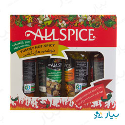 پک 4 عددی چاشنی جوجه کباب آتشین آلسپایس