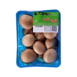 قارچ خوراکی دکمه ای ظرف یکبارمصرف 200 گرمی قارچ دزفول