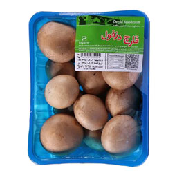 قارچ خوراکی دکمه ای 400 گرمی قارچ دزفول
