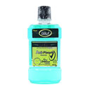 دهانشویه پاک کننده پلاک و جرم دندان 250 میلی لیتری ایرشا