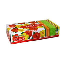 دستمال دولایه 100 برگ اکتیو