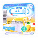 دسر پاناکوتا با شربت انبه 100 گرمی دنت