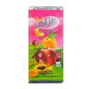 لواشک خانواده 55 گرمی نازلی