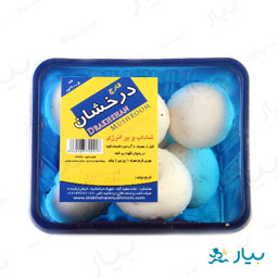 قارچ 200 گرمی درخشان