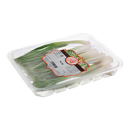 پیازچه تازه 150 گرمی آلاگون