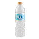 آب معدنی 500 میلی لیتری ویشان