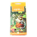 مداد رنگی جعبه مقوایی 12 رنگ لایف پن