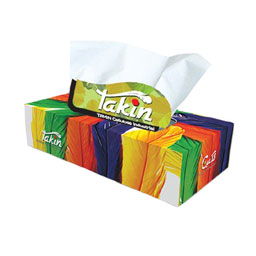 دستمال کاغذی دولا 200 برگی تکین