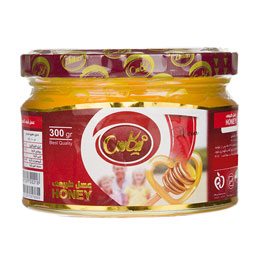 عسل 300 گرمی ژیکاس