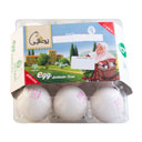 تخم مرغ 9 عددی پرطلایی