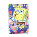 دفتر یاداشت 1/16 سلفون سیمی تندیس