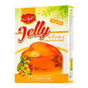 پودر ژله با طعم میوه های استوایی 100 گرمی گلیران