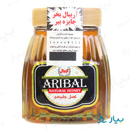 عسل بی مو کردستان 420 گرمی آریبال