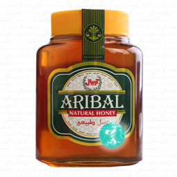 عسل طبیعی 800 گرمی آریبال