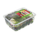 سالاد برگ فرانسوی 200 گرمی گل باز