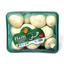 قارچ کامل 400 گرمی هستی