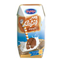 دسر نوشیدنی کاپوچینو 200 میلی لیتری دومینو