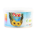 کمپوت آناناس 227 کلیددار پاین