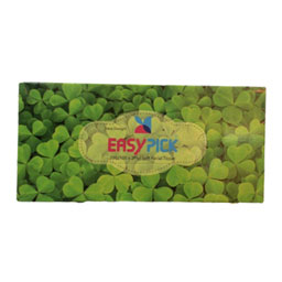 دستمال کاغذی 100 برگ دو لایه ایزی پیک