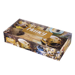 دستمال کاغذی 100 برگ دولا نانسی