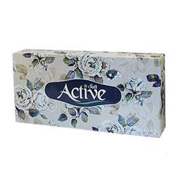 دستمال کاغذی طرح سنتی 100 برگ اکتیو