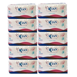 دستمال فلکسی اقتصادی 10 عددی کیان