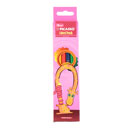 مداد رنگی 6 رنگ پیکاسو