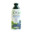 شامپو مناسب موی چرب 250 میل لانجلیکا