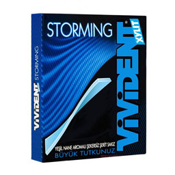 آدامس با طعم نعناع سبز 12 عددی ویویدنت