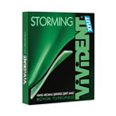 آدامس نعنایی 12 عددی ویویدنت